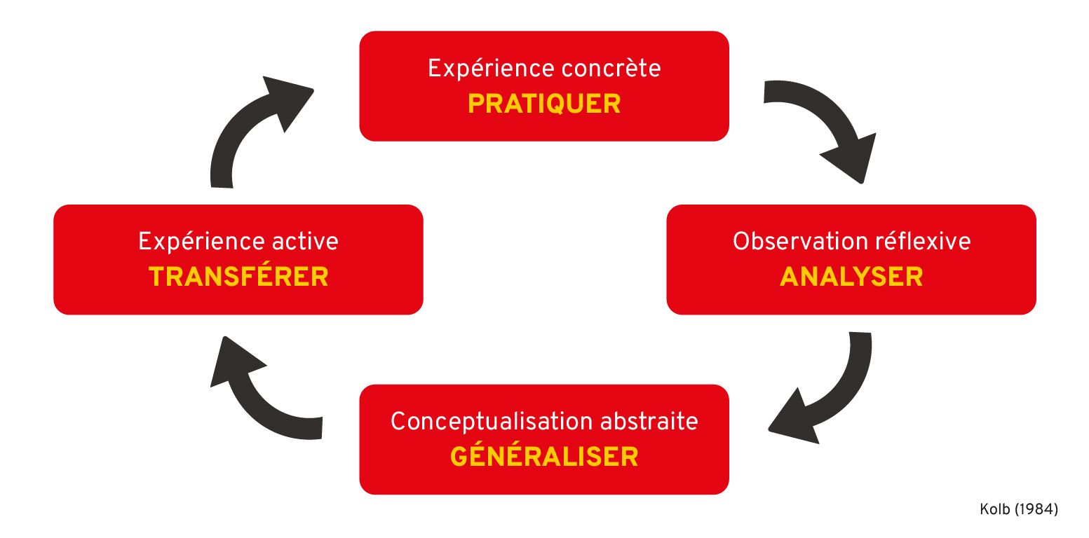 Les 4 phases sont : 1-L'expérience concrète, 2-L'observation réflexive, 3-La conceptualisation réflexive, 4-L'expérimentation active